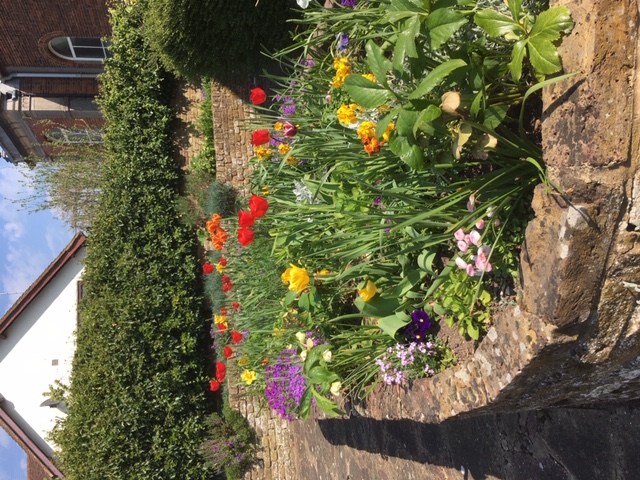 Flowers from within our grounds.