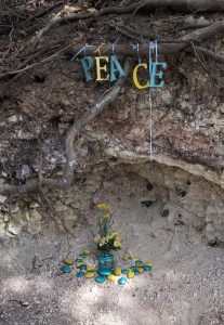 Wooden letters hanging on tree roots, spelling "Peace". Underneath are a few flowers and some stones painted in the colours of the Ukraine flag.